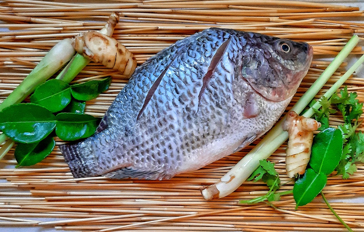 tilapia, raw material, tom yum fish, tilapia, tilapia, tilapia, tilapia, tilapia