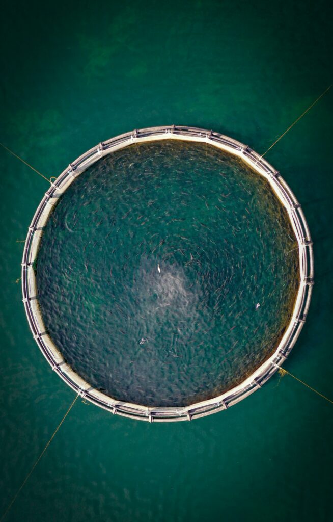 Drone shot of fish pond in Gaziantep, Turkey, showcasing circular aquaculture from above.