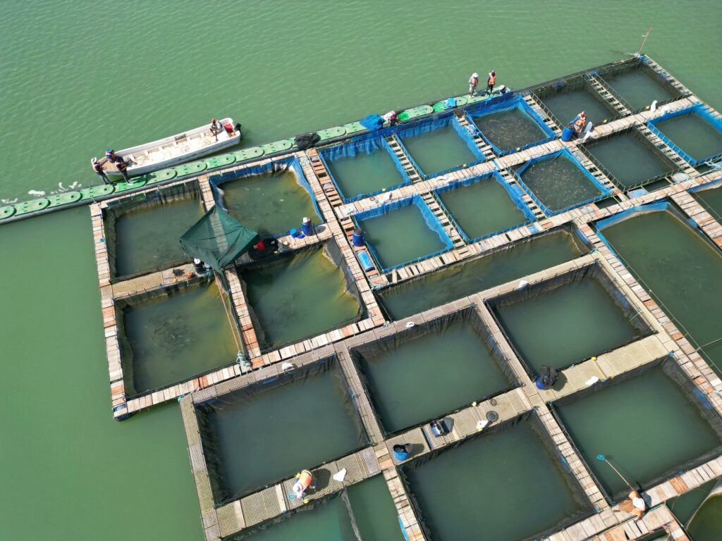 pexels-photo-28738437-28738437 Aerial view showcasing fish farming rafts with workers near boats on a green ocean.
